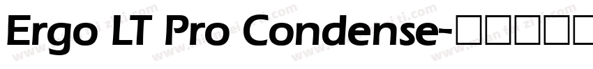 Ergo LT Pro Condense字体转换